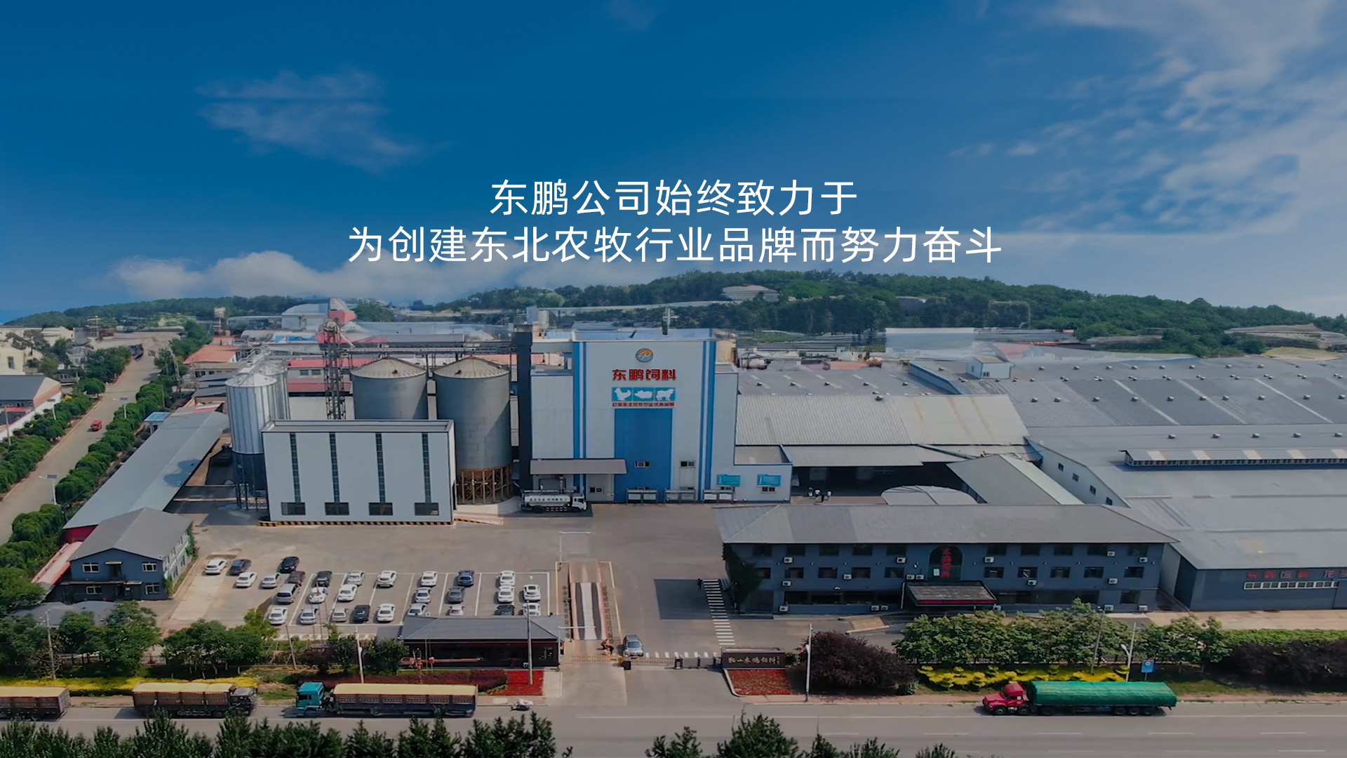 沈阳饲料
